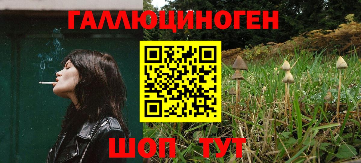 Псилоцибиновые грибы мицелий  Вход с VPN  Топки 