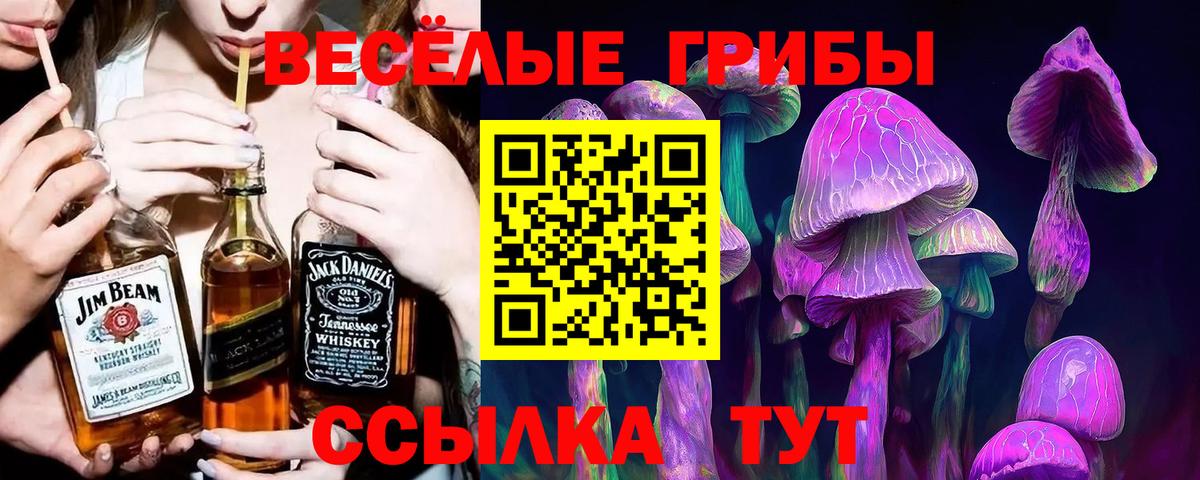 Галлюциногенные грибы прущие грибы Топки